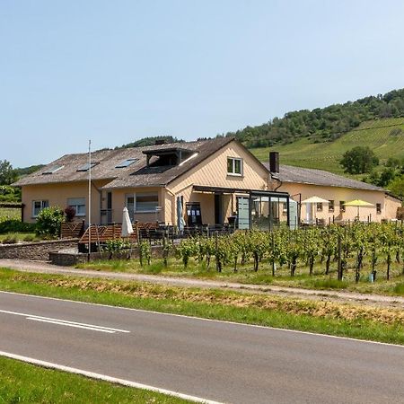 빈트리크 Weingut J. A. Meyer B&B 외부 사진