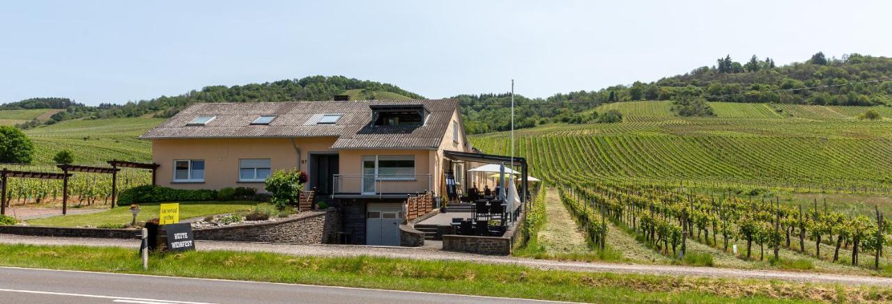 빈트리크 Weingut J. A. Meyer B&B 외부 사진
